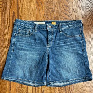 Anthropologie Pilcro and the Letterpress Denim Boyfriend Shorts Size 29